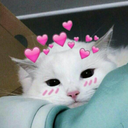 uwu_cat emote
