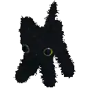 gato emote