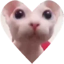 B_heart emote