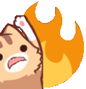 neko_fire emote