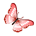 Butterfly_Nara Emote