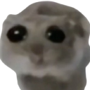 sadhamster emote