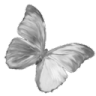 qbutterfly3 emote
