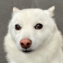 khee emote