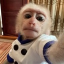 emoji_4 emote