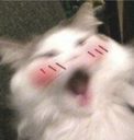 Screenshot________com emote
