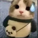 225_z_erm Emote