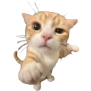 956658youuukitten emote