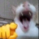 emoji_37 emote