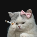 stress emote