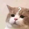 catconfused Emote