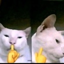 emoji_31 emote