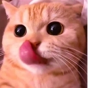 emoji_1 Emote