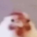 emoji_16 emote