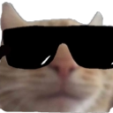 CoolShirocat emote