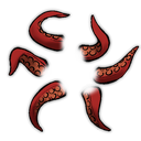 kl_oceanictentacle Emote
