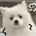 AngryDog emote