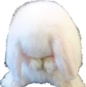 bunnysad emote