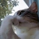 emoji_43 emote