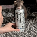 emoji_7 Emote