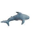 sharkspinspinspinspinn emote