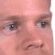 excusemewtf emote