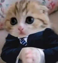 Business emote
