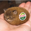 RDT_20260517_1118326597620824278 Emote