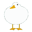 56493duckdance emote