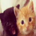 catas Emote
