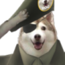 HuskySalute Emote