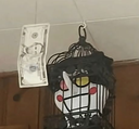 hZXQD0ld Emote