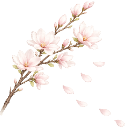 FlowerMayville emote