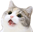 catwow emote