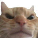cat_angry Emote