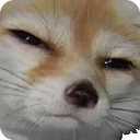 ur_sus emote