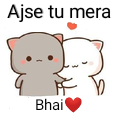 tmr_aw_mera_bhai Emote