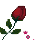 Rose_Nara emote