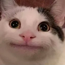 sayan_jethu Emote