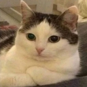 emoji_43 Emote