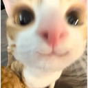 emoji_63 emote