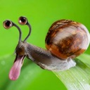 snail emote