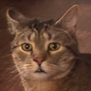 rockydisbelief emote