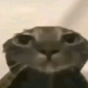 emoji_57 emote