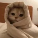 emoji_74 Emote