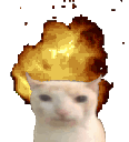 boomcat emote
