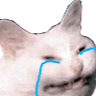 CattoCry Emote