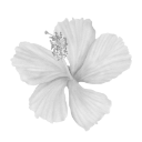009_flower7 Emote