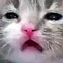 817483918243921921 emote