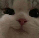 smile_13 Emote
